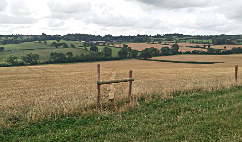 Waypoint 8